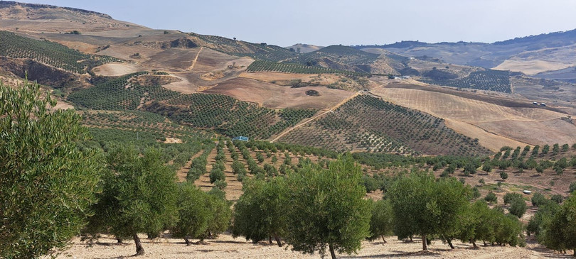 Ronda, Costa del Sol, Málaga, Espanja - Juoni - Maa